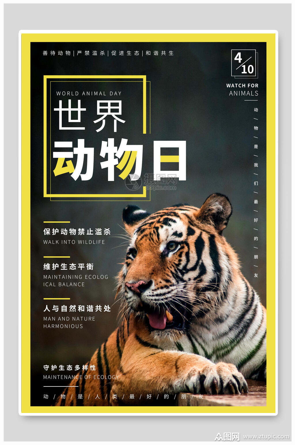 世界动物日保护野生动物海报