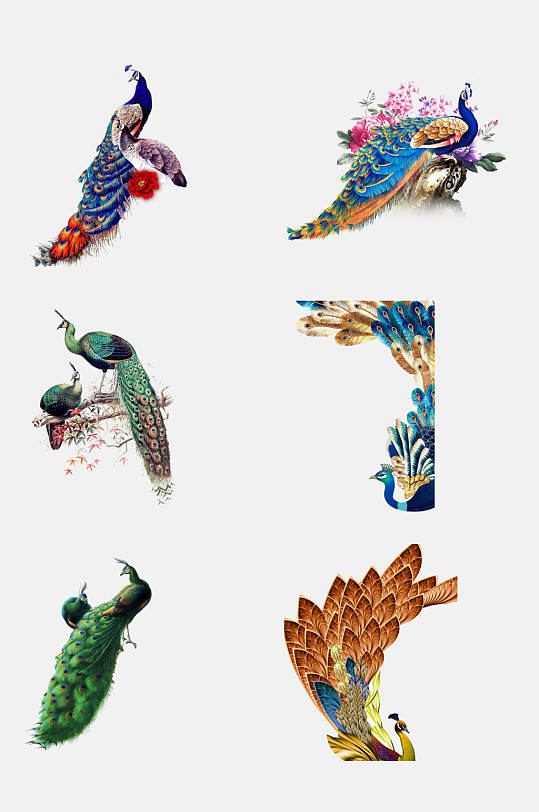 羽毛优美手绘孔雀免抠元素
