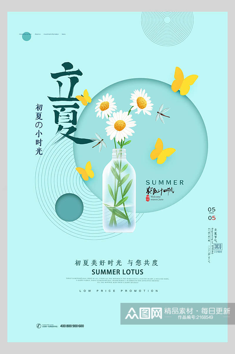 清新雏菊立夏中国二十四节气宣传海报素材