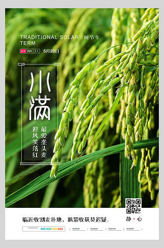 水稻小满传统节气插画海报