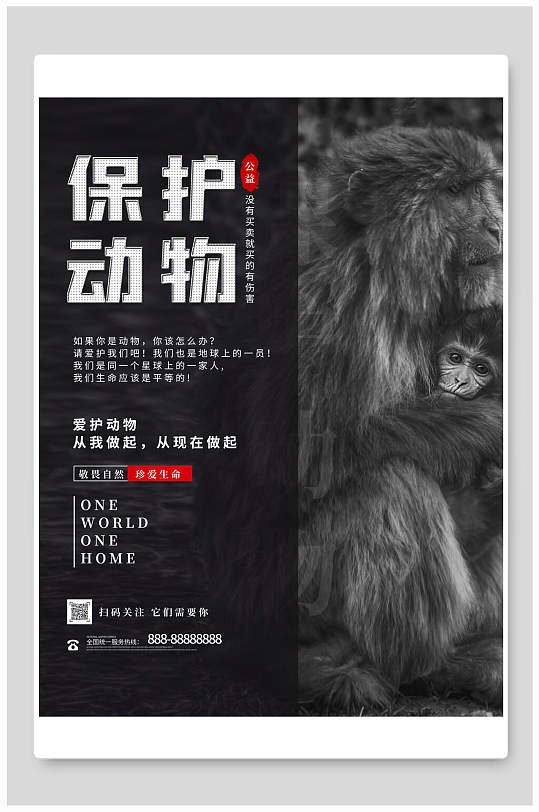 大气高档保护野生动物猴子海报