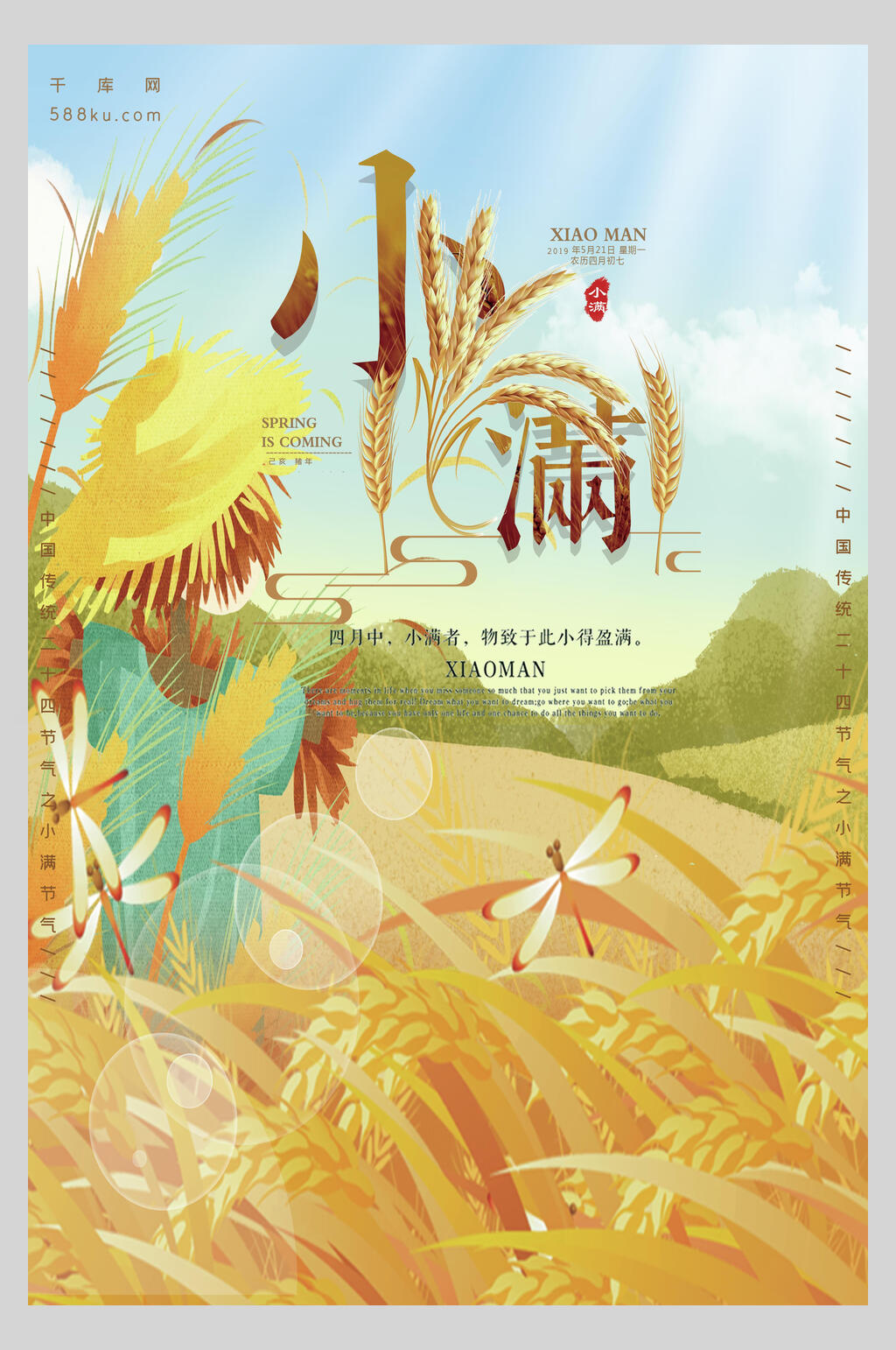 金色水稻小满传统节气插画海报素材