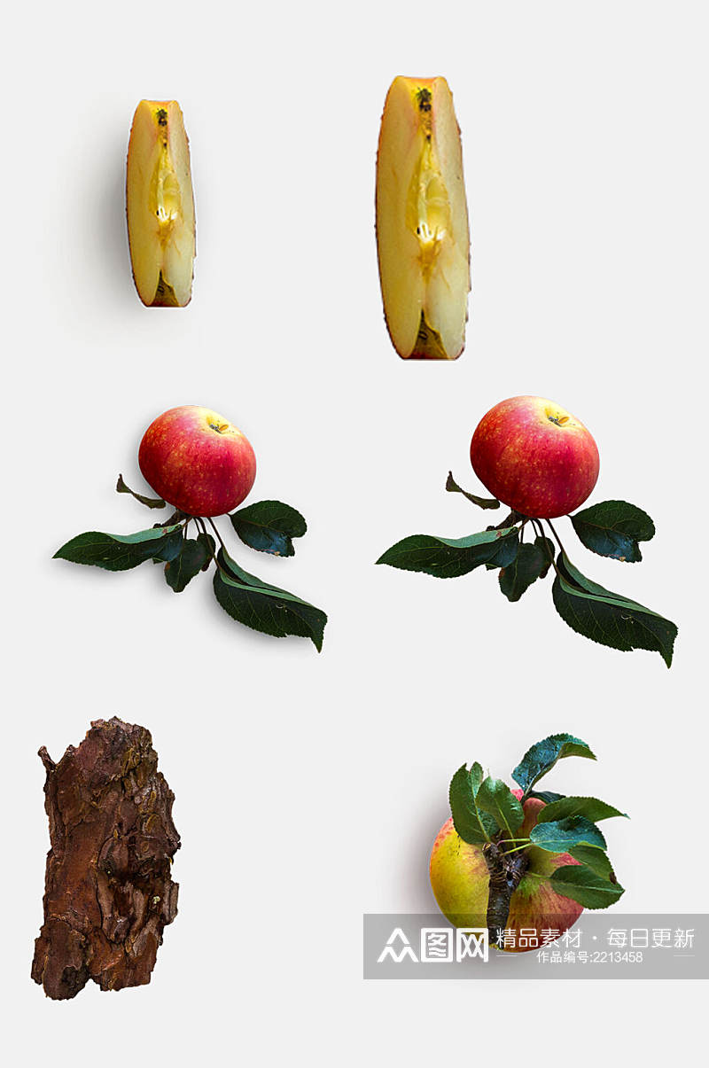 带叶子苹果树皮植物模型免抠元素素材