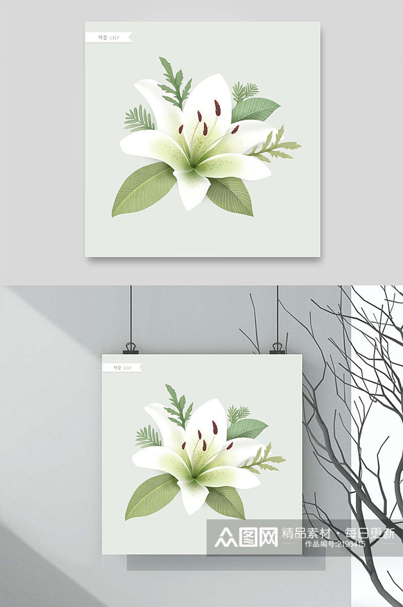 白色荷花花朵插画素材素材