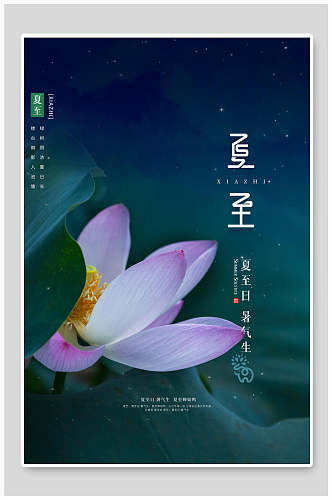 清新绿色花卉夏至中国节日宣传海报