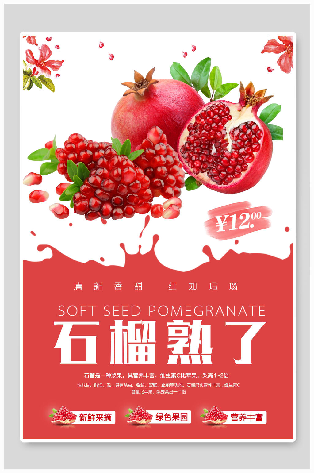 红润石榴宣传海报素材