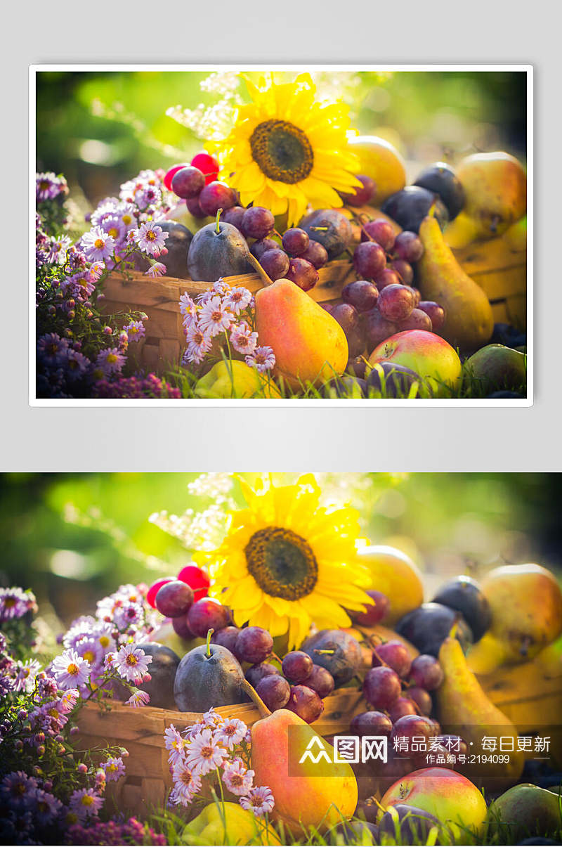 水果秋季摄影图片素材