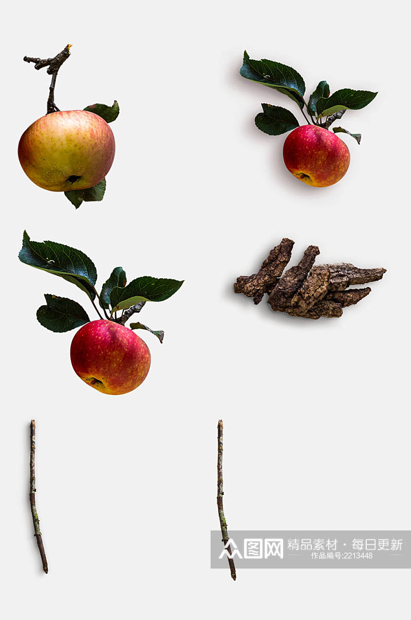 清新带叶子苹果树皮树枝植物模型免抠元素素材