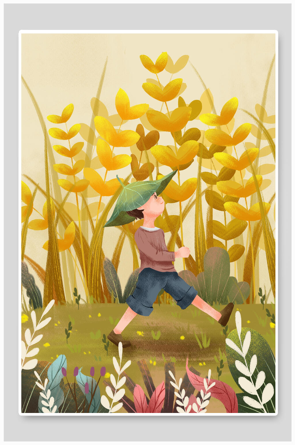 植物花卉大暑传统节气插画素材素材