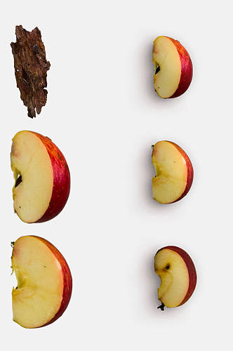 清新切块苹果树皮植物模型免抠元素