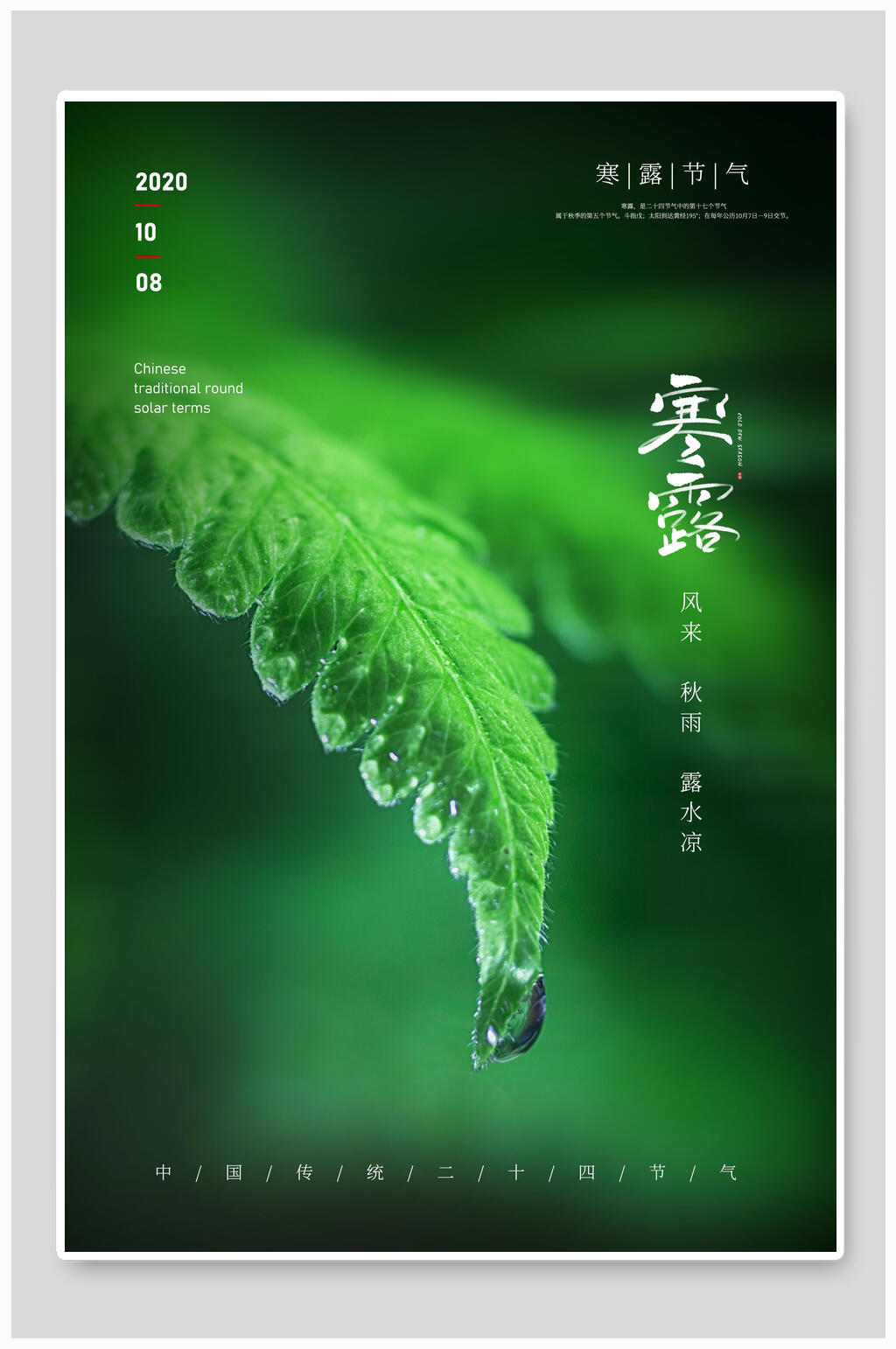 绿色寒露传统节气宣传海报素材