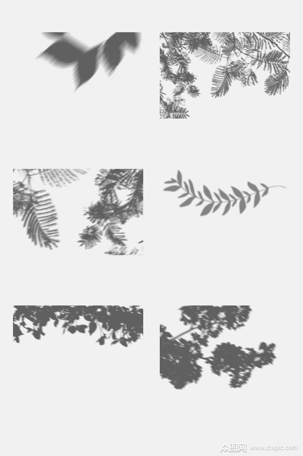 简洁大气树影叶子影子免抠元素素材