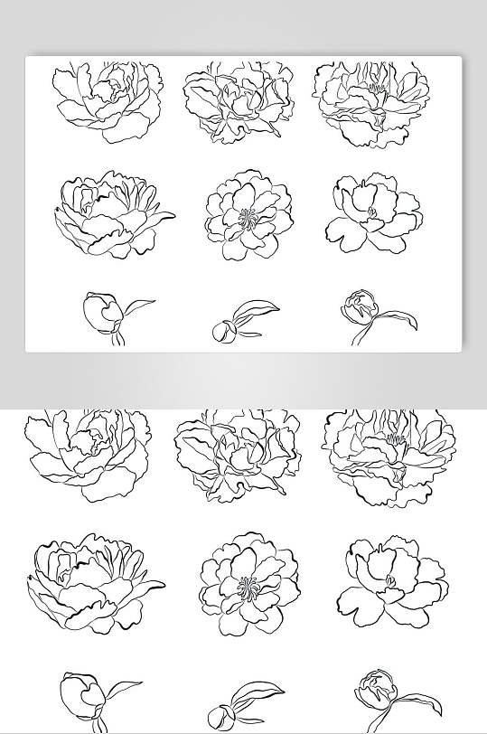 白底简笔画牡丹矢量素材