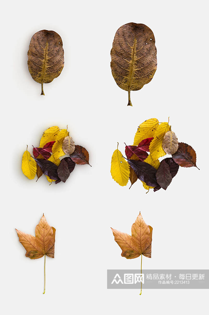 简约创意枫叶树叶植物模型免抠元素素材