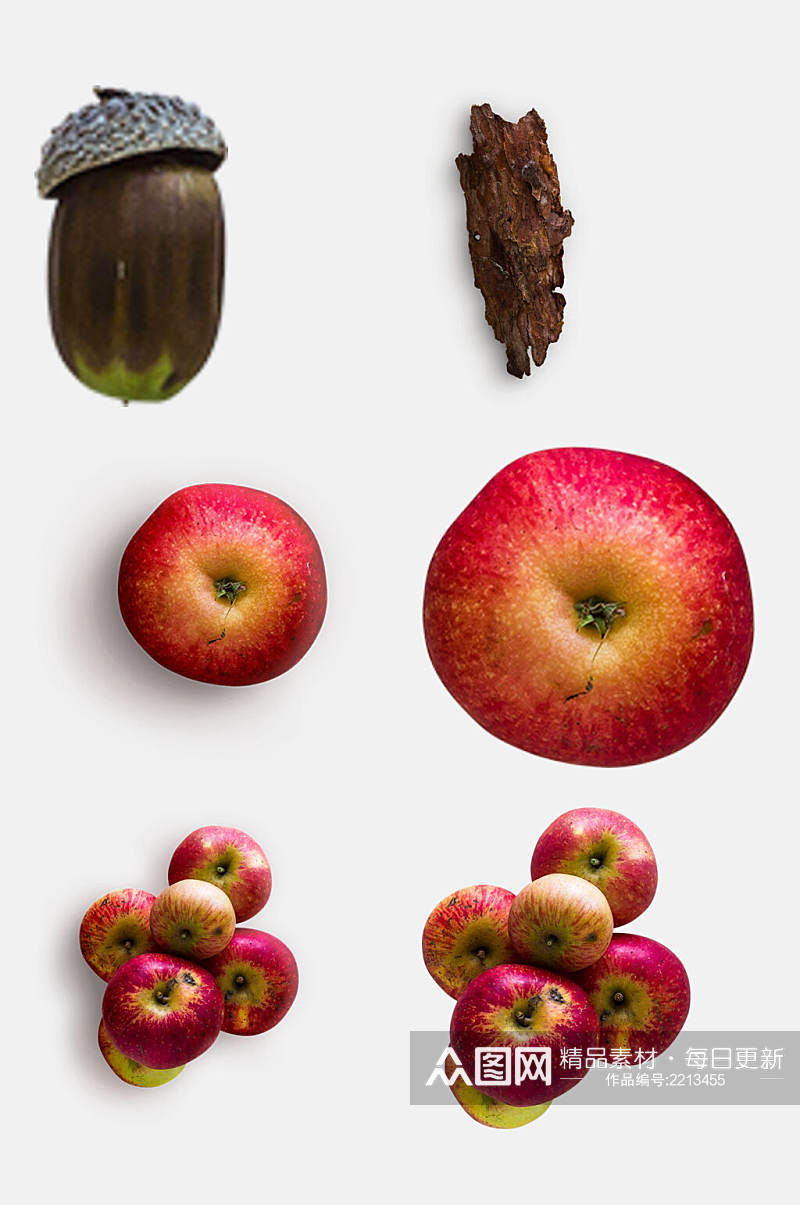红富士树皮苹果植物模型免抠元素素材