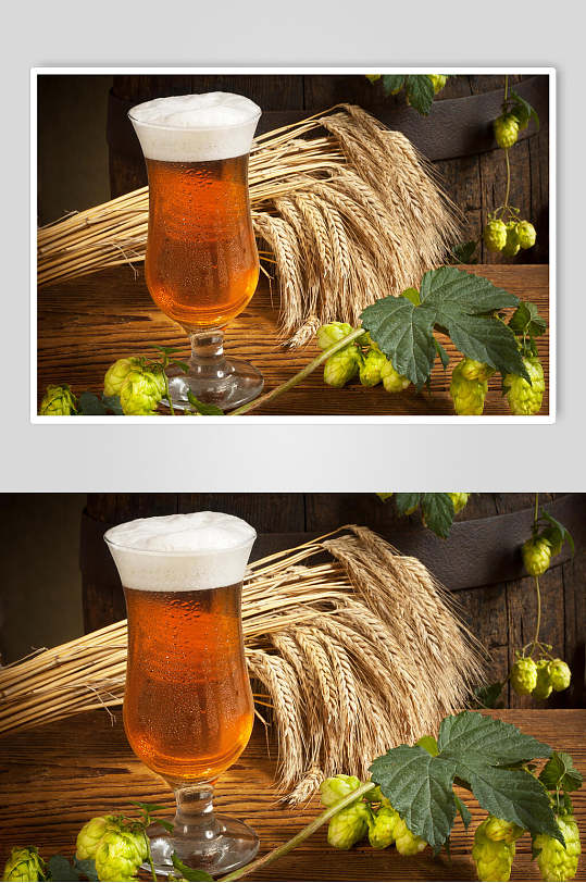 精啤酒图片-精啤酒素材下载-众图网
