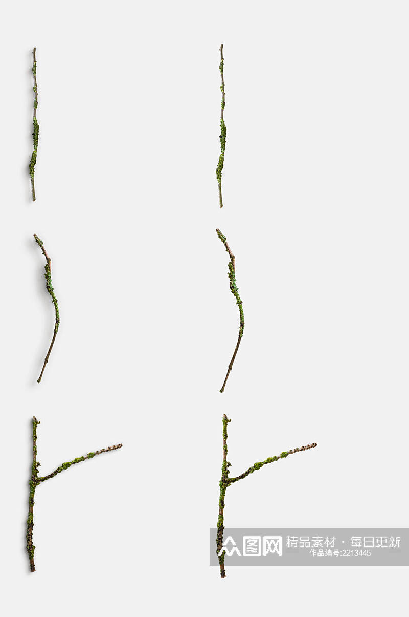 清新极简树枝植物模型免抠元素素材