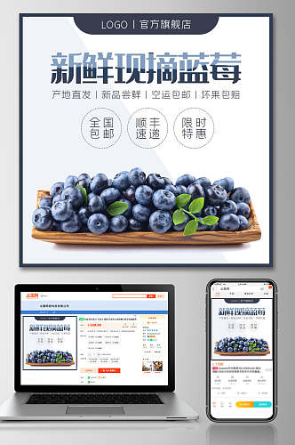 新鲜现摘蓝莓水果电商主图