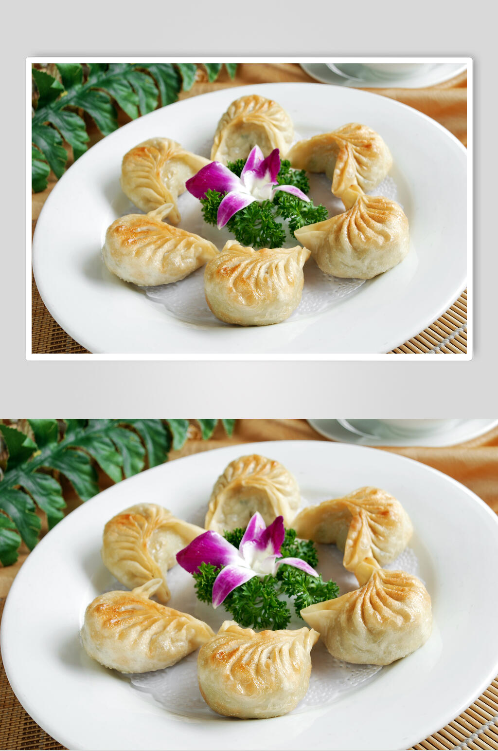 飘香美味煎饺摄影图片素材