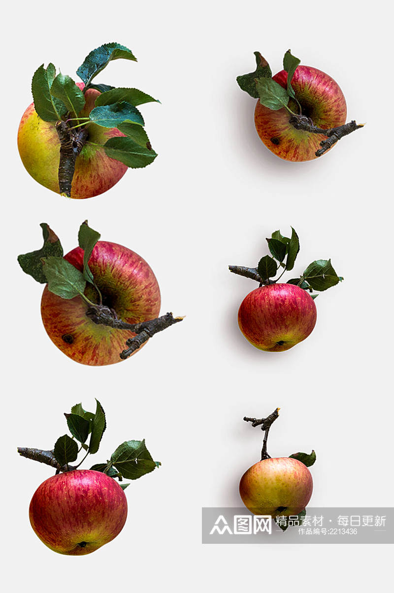 带叶子苹果植物模型免抠元素素材
