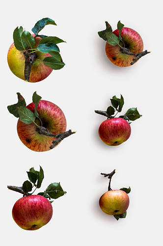 带叶子苹果植物模型免抠元素