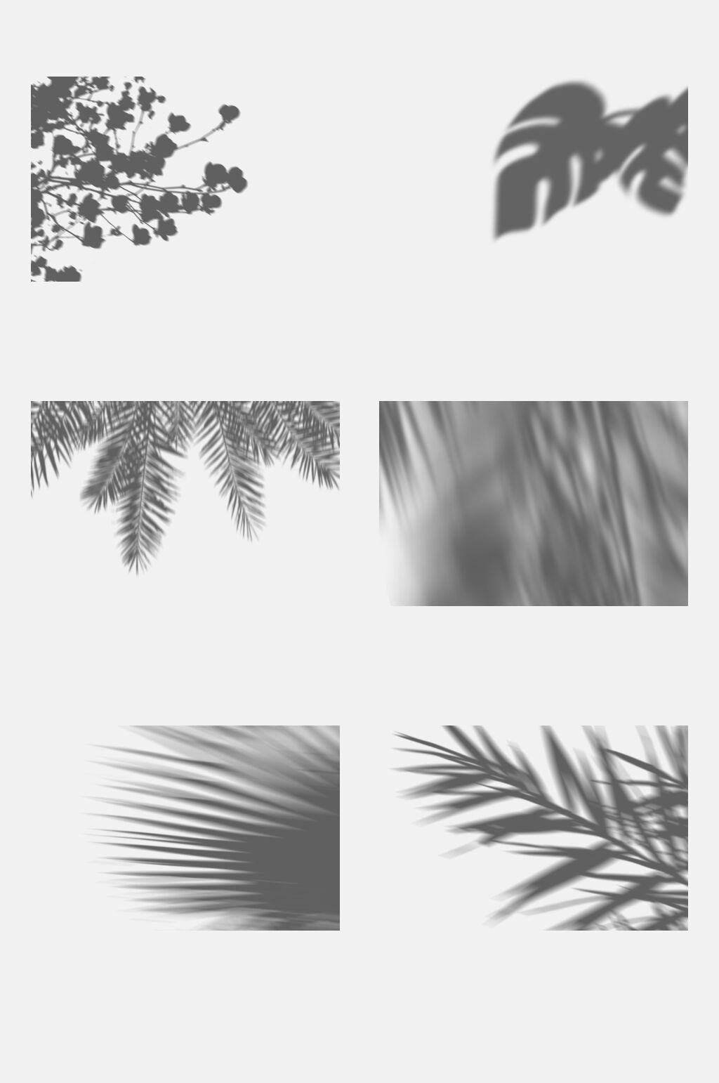 水墨风植物树影叶子影子免抠元素模板下载 编号 众图网