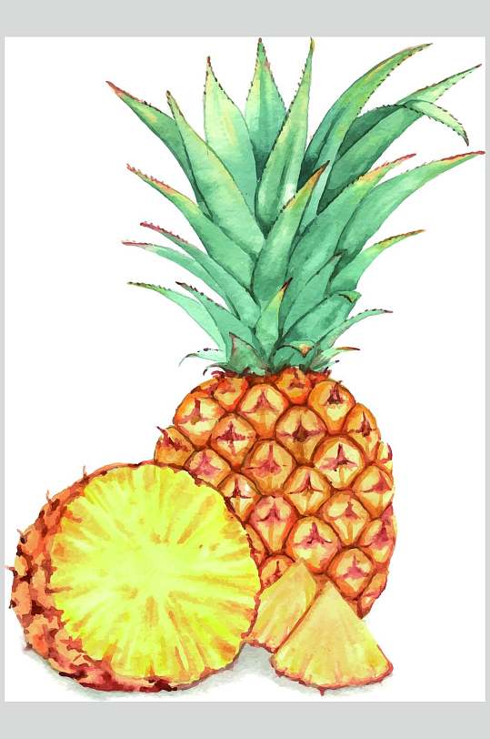 插图高级感大气清新菠萝矢量素材