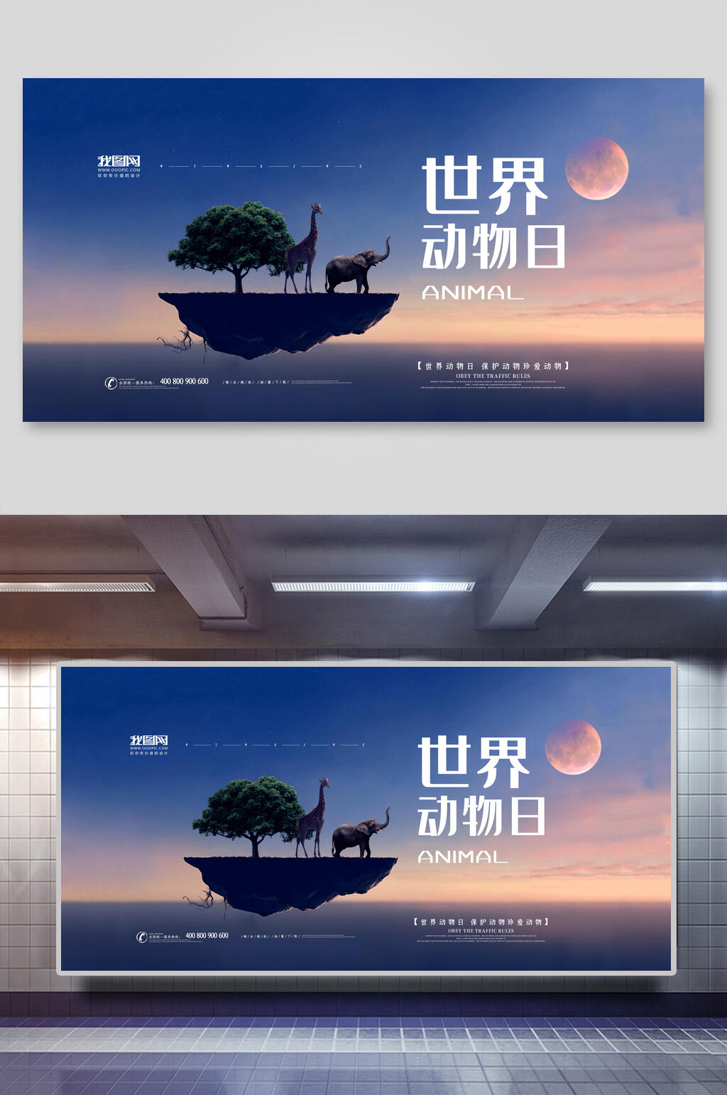 简洁保护野生动物展板海报素材