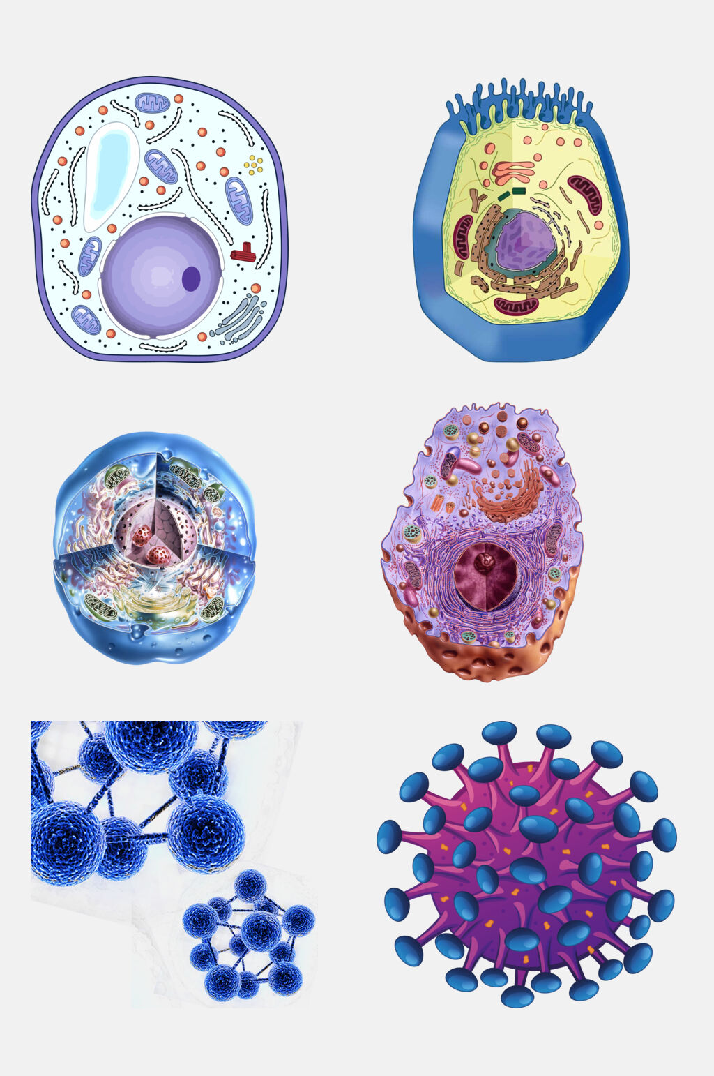 炫彩医学细菌生物细胞分子免抠素材