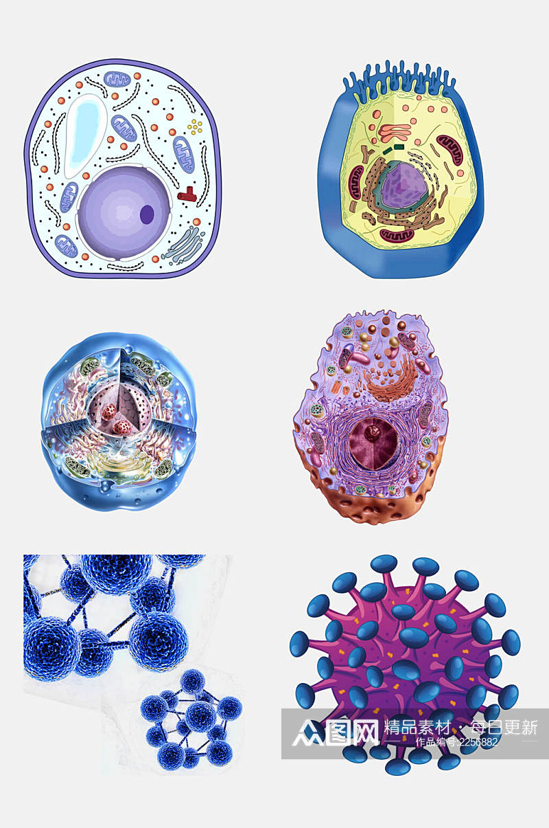 炫彩医学细菌生物细胞分子免抠素材素材