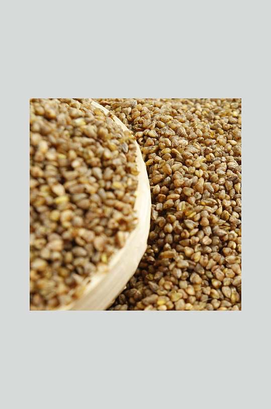 生态苦荞米美食食品图片