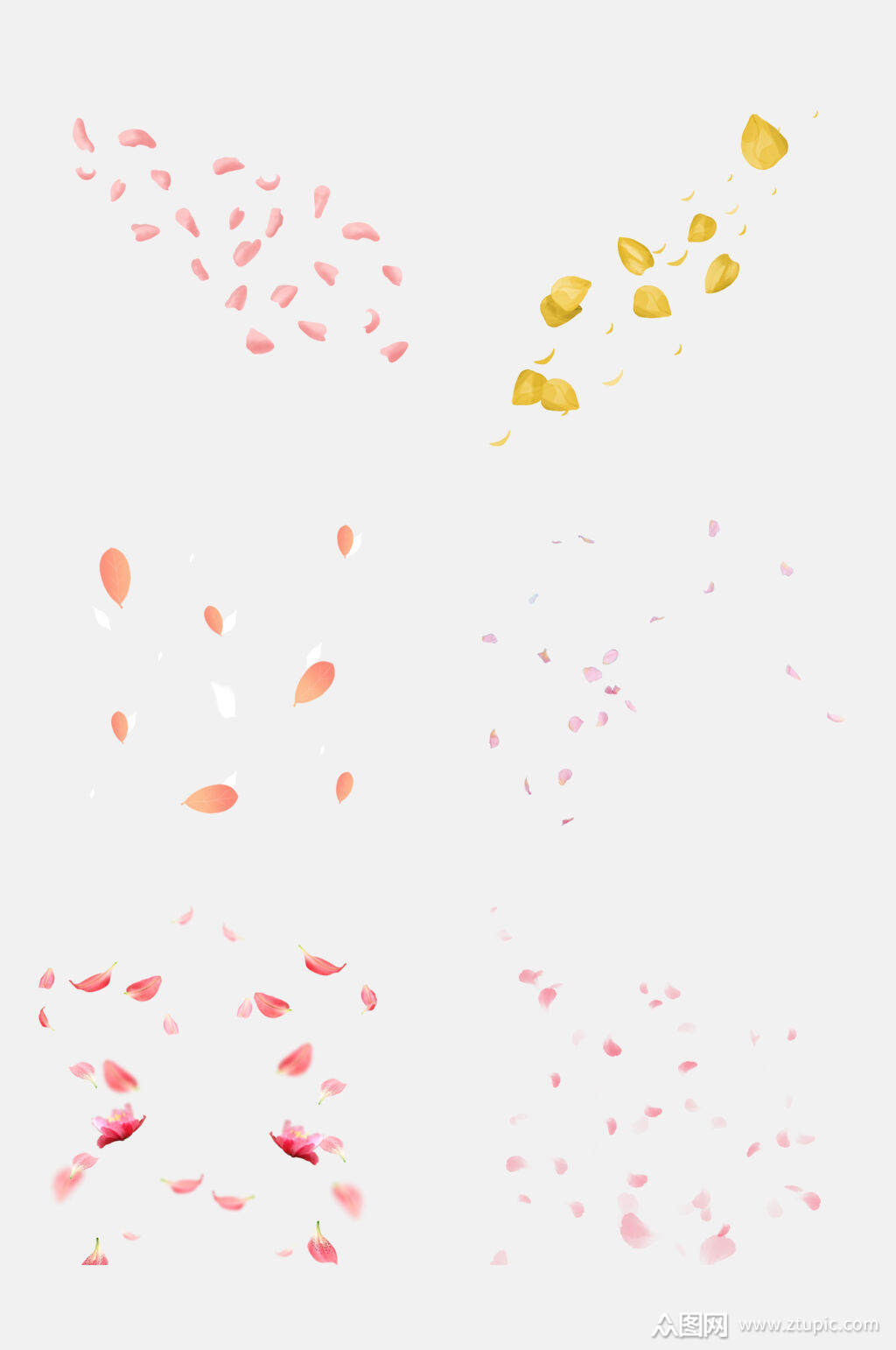 高端花瓣雨飘落免抠元素