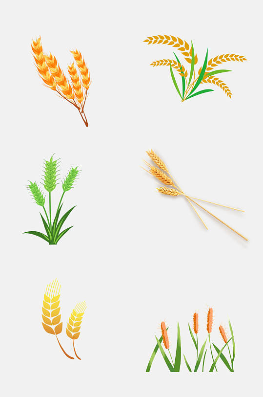 清新水彩稻谷水稻免抠元素