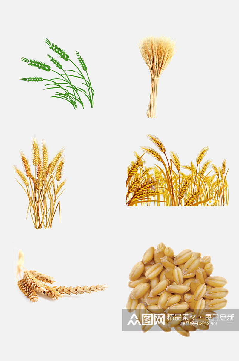 精品小麦稻谷水稻免抠元素素材