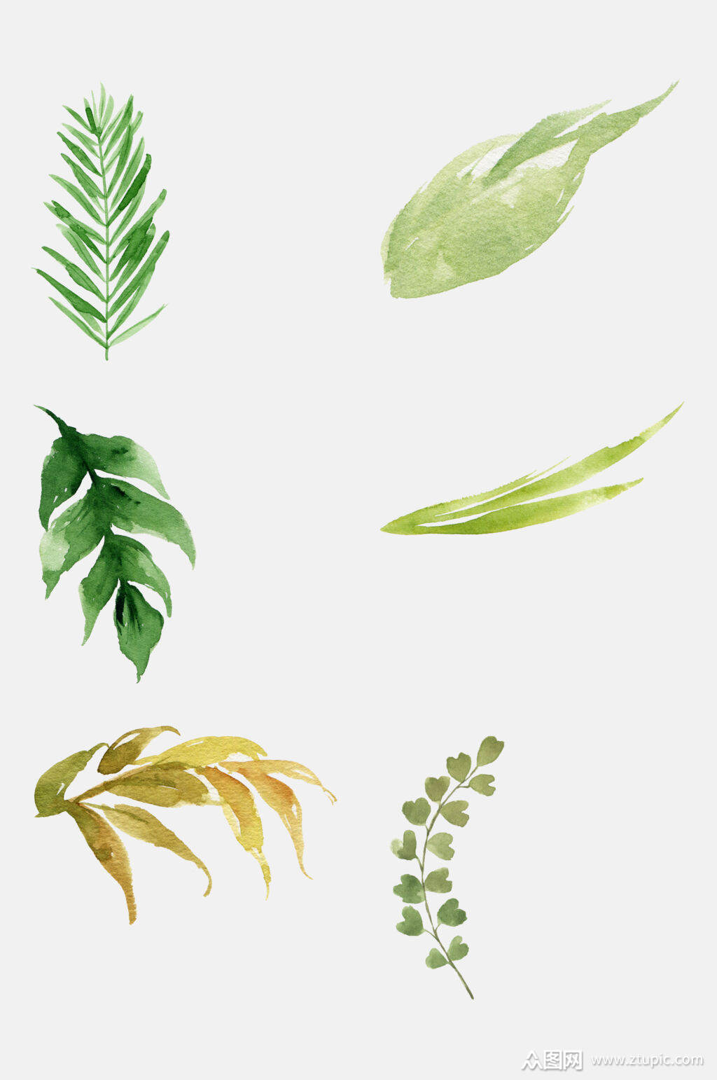 清新唯美水彩植物叶子免抠元素