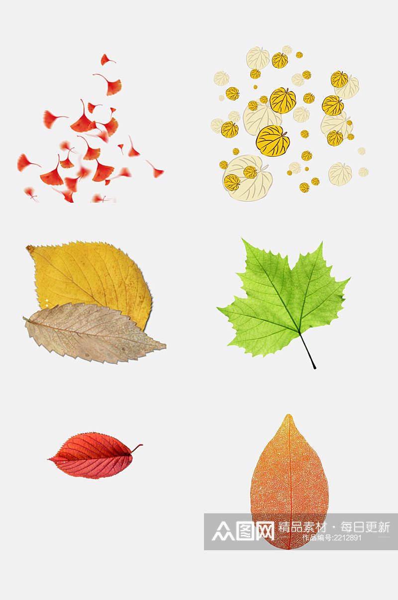 植物秋天立秋叶子落叶免抠元素素材