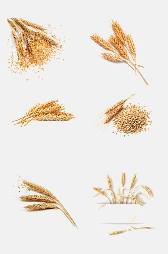 五谷杂粮稻谷水稻免抠元素