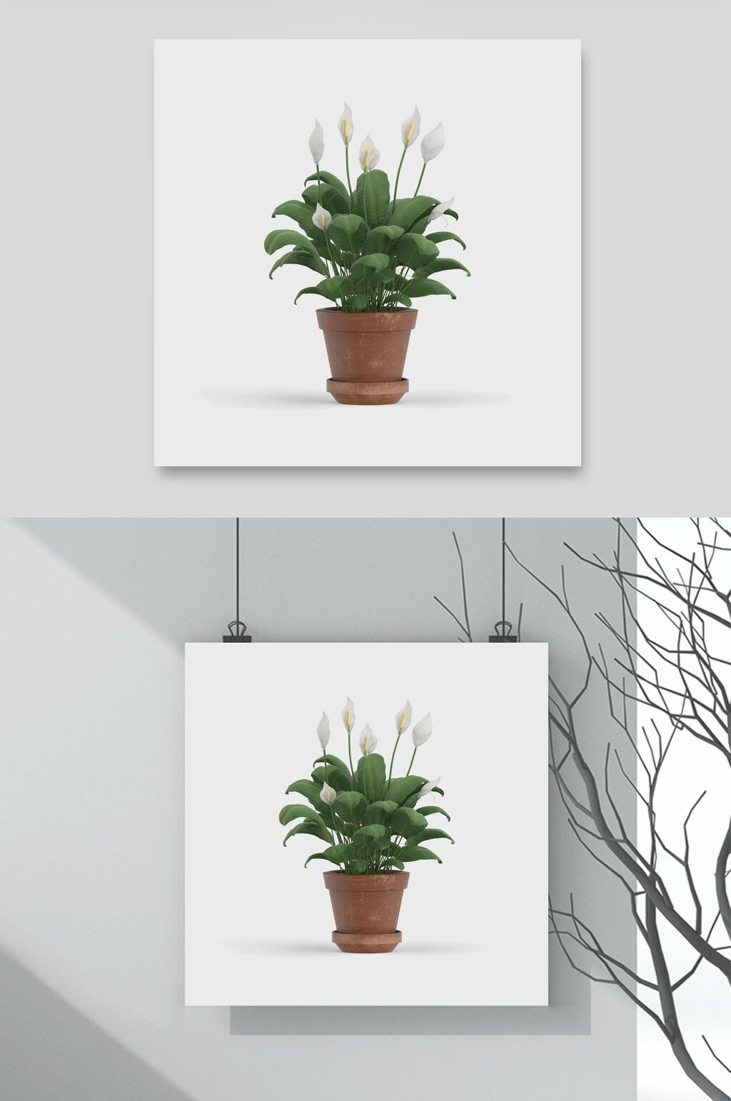 清新绿植自然花卉元素素材