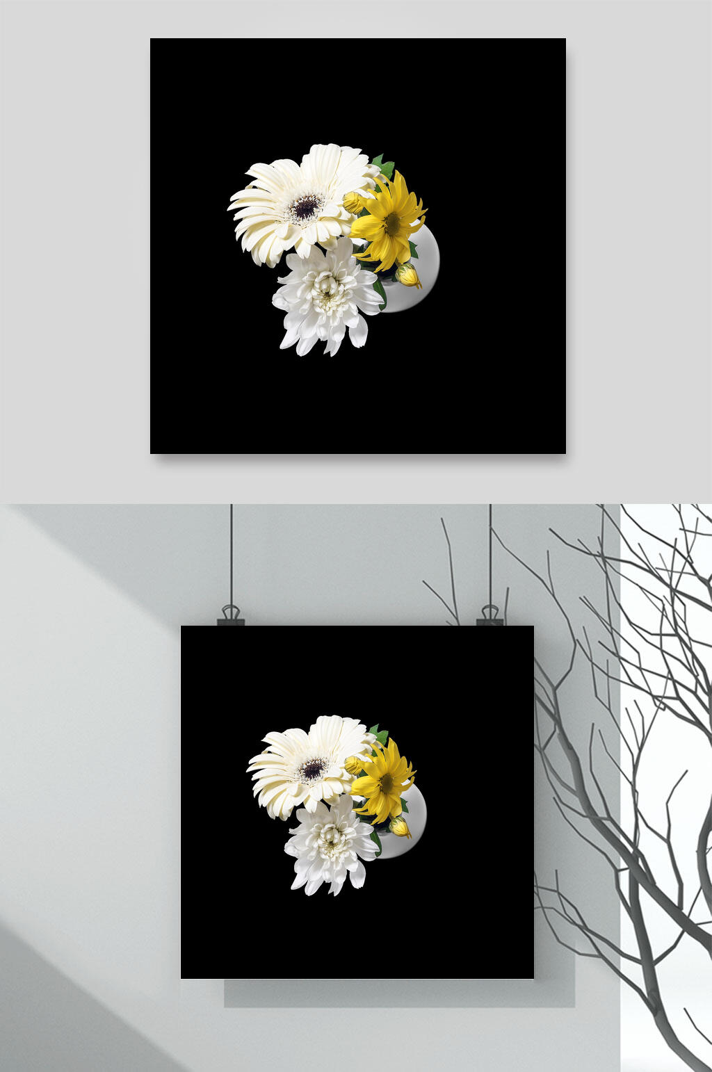 黑底向日葵插花花瓣植物素材素材