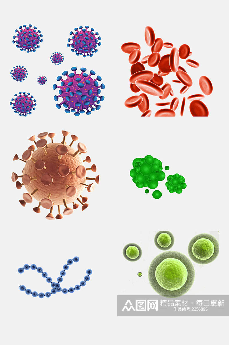 花朵医学细菌生物细胞分子免抠素材素材