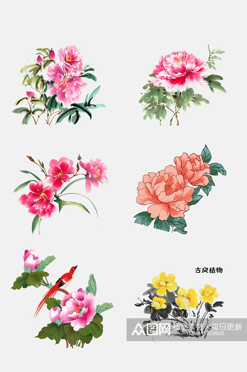 绚丽中国风工笔花鸟植物鲜花免抠元素素材