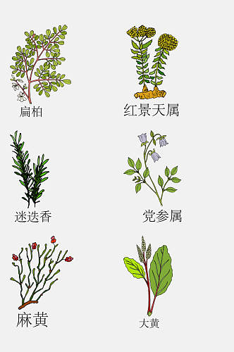 手绘线描中草药草本植物免抠素材