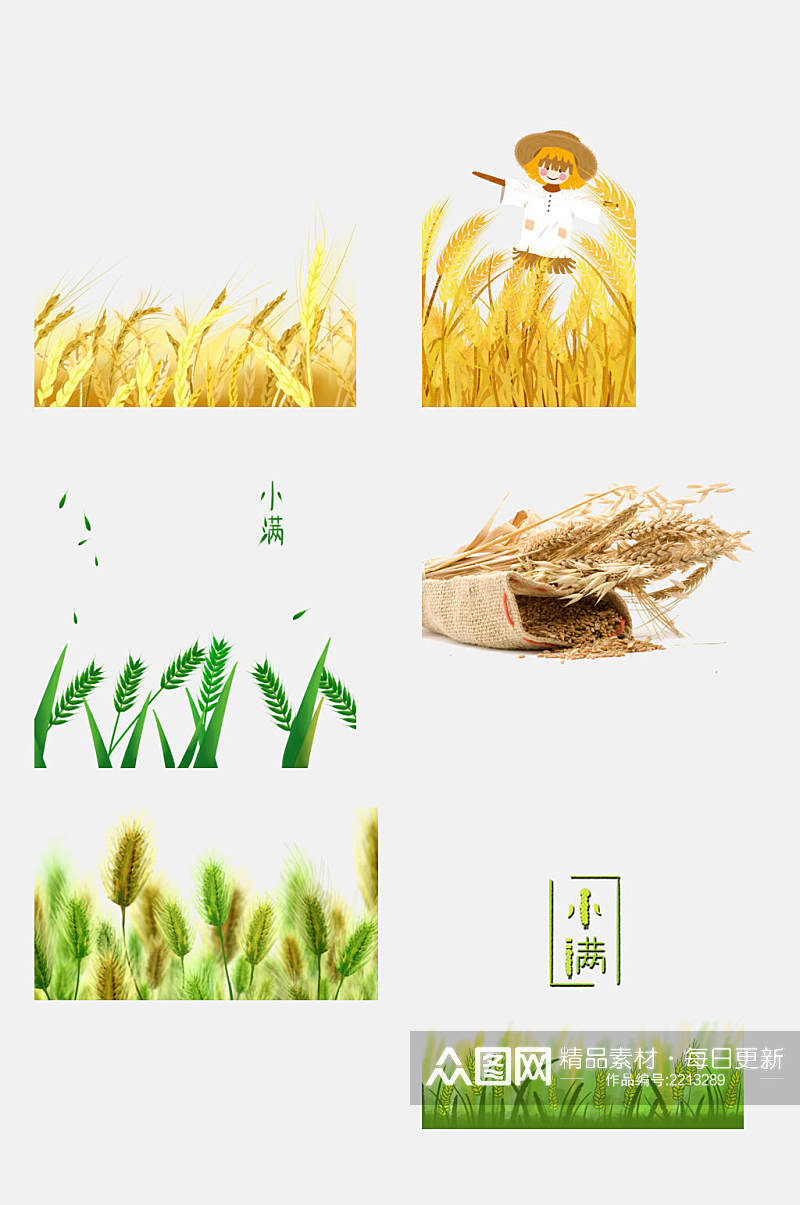 小满稻谷水稻免抠元素素材