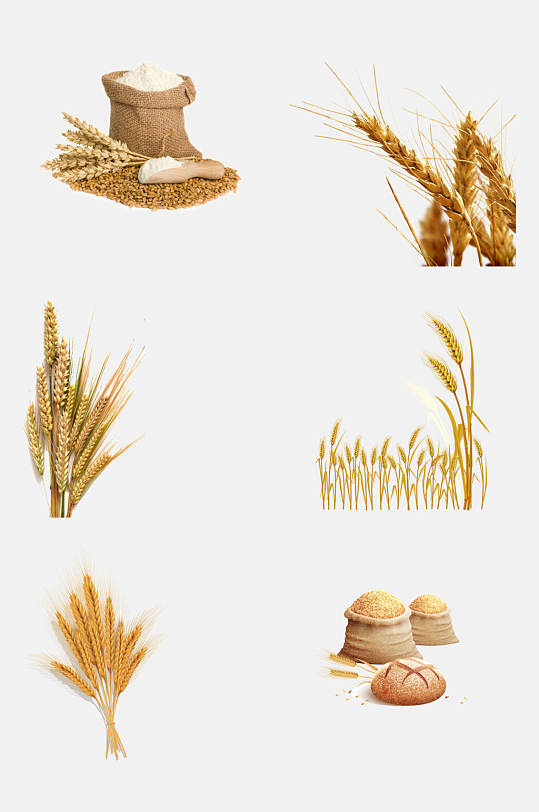 小麦粮食稻谷水稻免抠元素