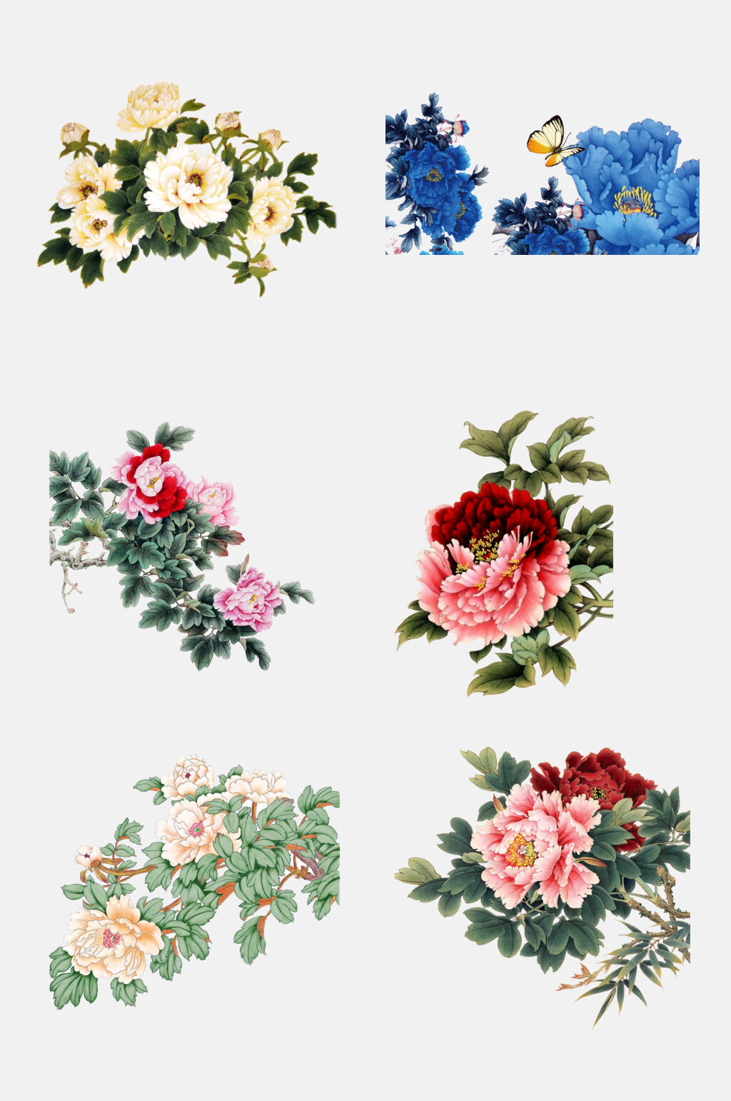 唯美中国风工笔花鸟植物鲜花免抠元素素材
