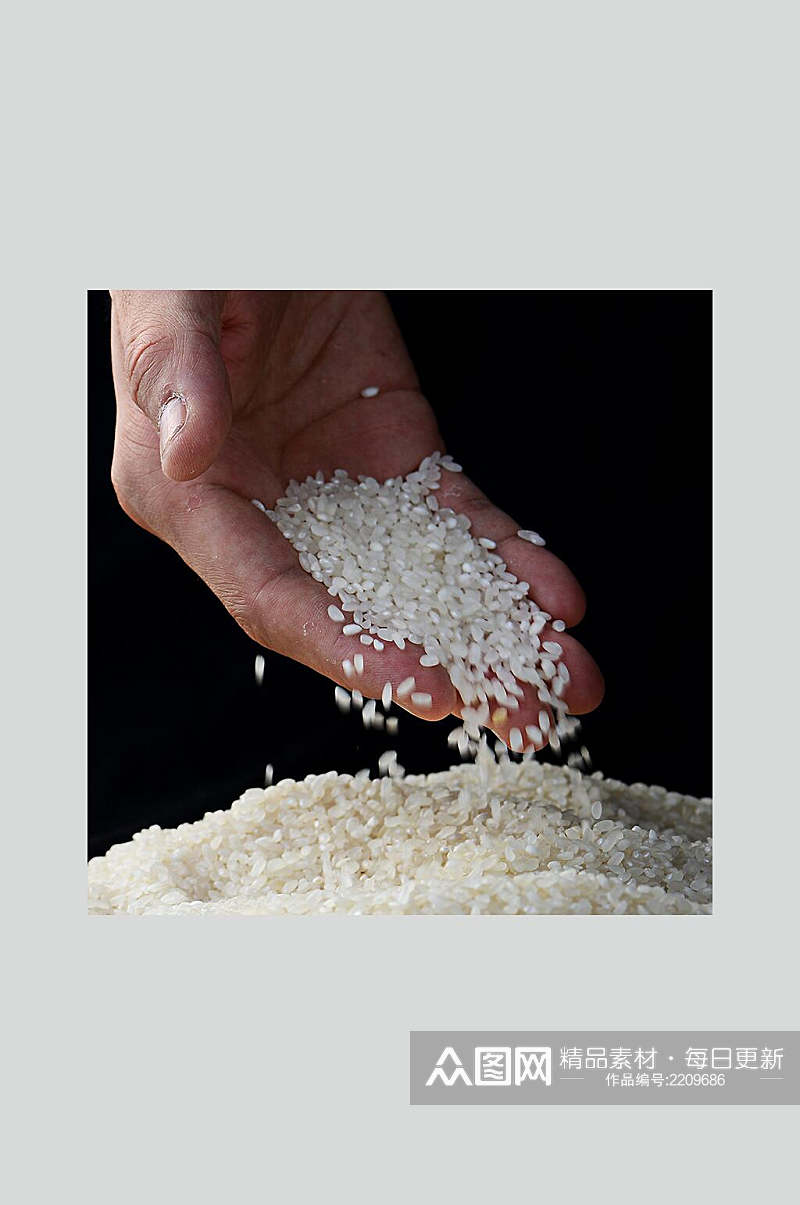 有机大米美食食品图片素材