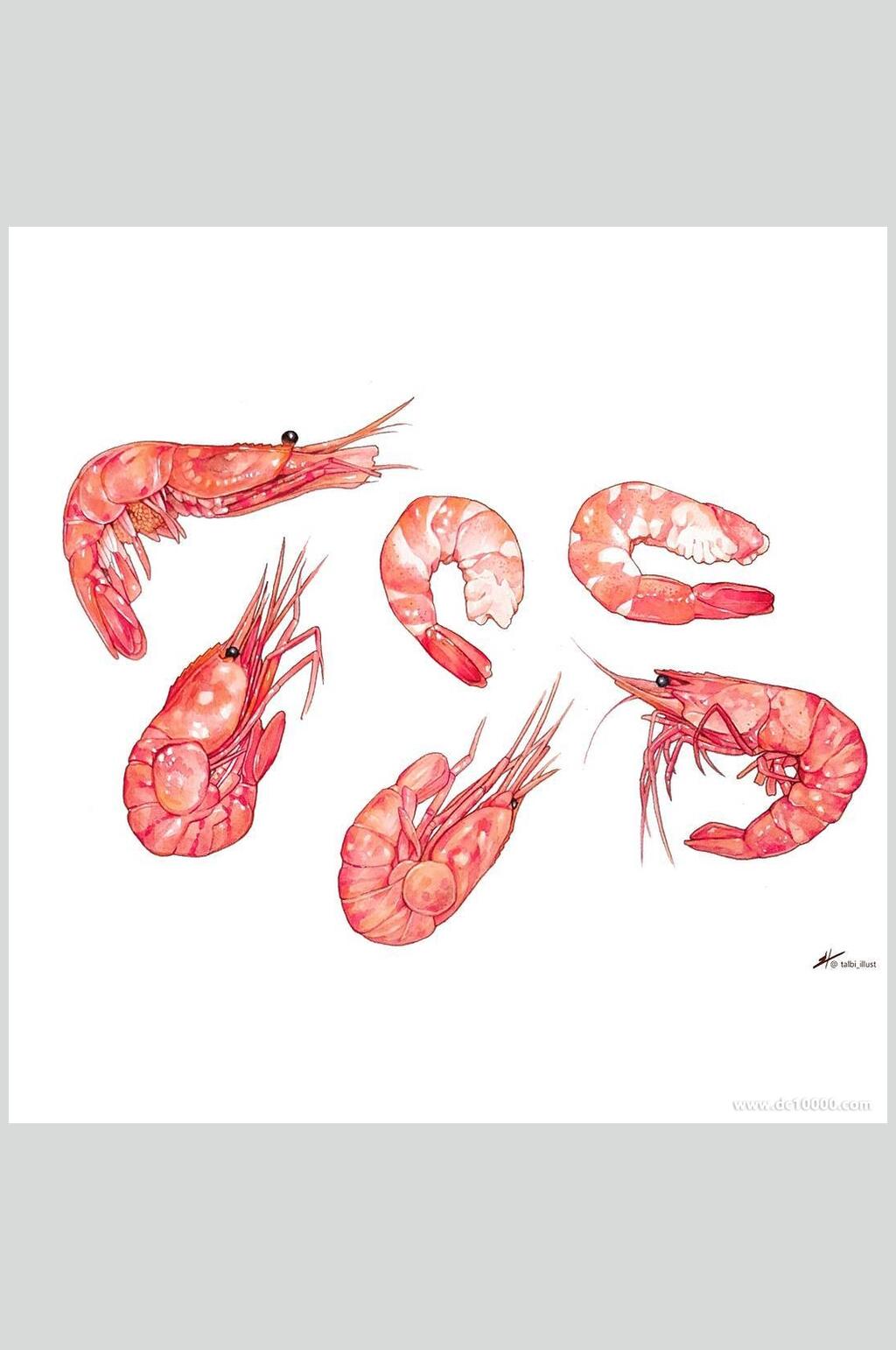 大虾海鲜美食图片素材