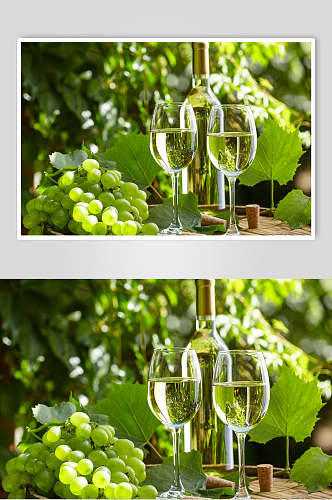 绿葡萄葡萄酒美食图片