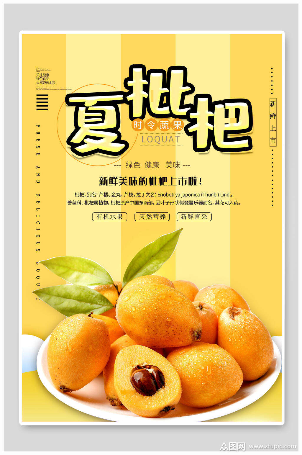黄色夏枇杷水果海报