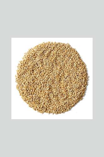 精品燕麦米美食食品图片